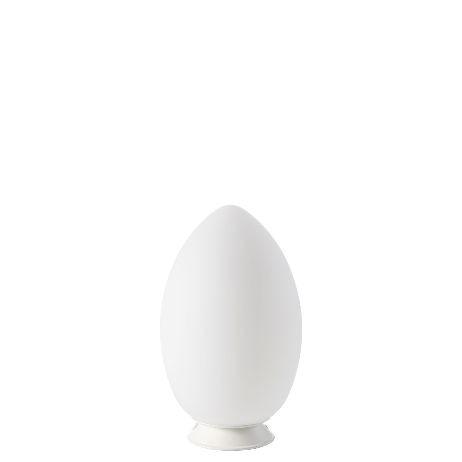 Uovo Ricaricabile